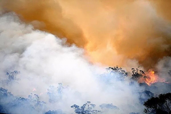 整整4亿吨！澳洲山火向全世界“贡献”二氧化碳超116个国家总和！天空下起了黑雨，连水源也被污染了... - 8