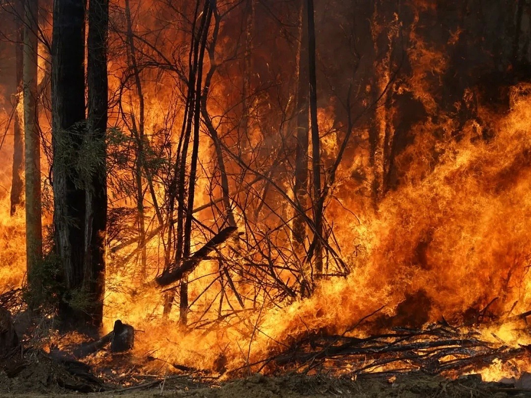 整整4亿吨！澳洲山火向全世界“贡献”二氧化碳超116个国家总和！天空下起了黑雨，连水源也被污染了... - 17