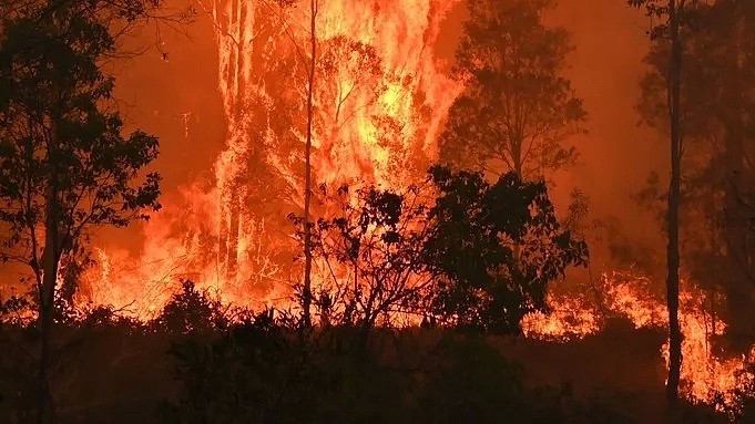 整整4亿吨！澳洲山火向全世界“贡献”二氧化碳超116个国家总和！天空下起了黑雨，连水源也被污染了... - 19