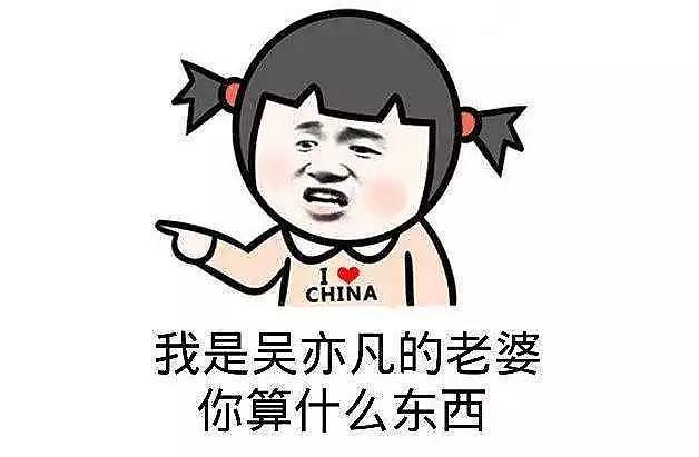 壕无人性！中国粉丝为韩国爱豆过生日，满屏香奈儿！连宠物都有份！（组图） - 7