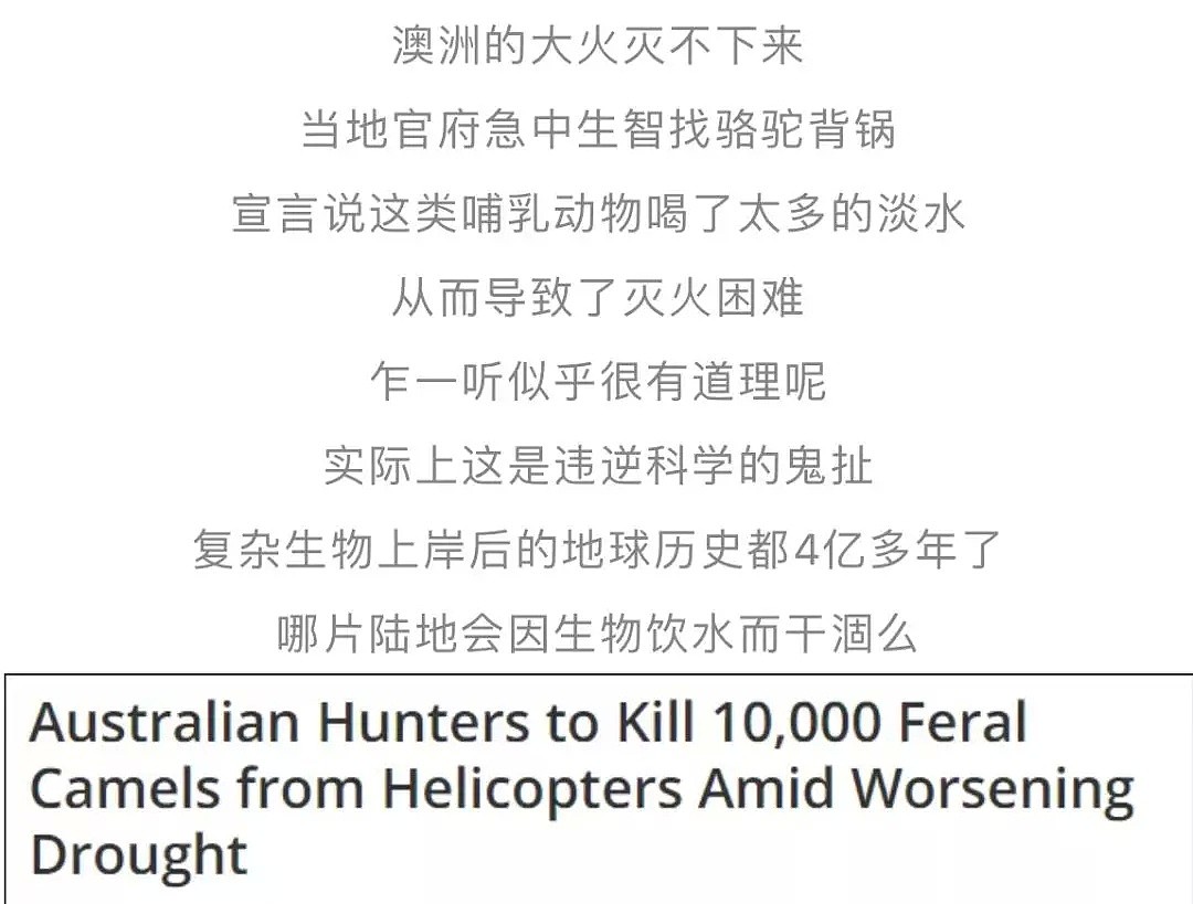 澳洲政府为灭火射杀上万野生骆驼？真相其实是…（组图） - 3