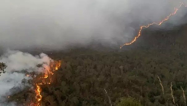 悉尼下雨了，火灭了，是时候算总账了！这些人统统要曝光，一个也不能少... - 22