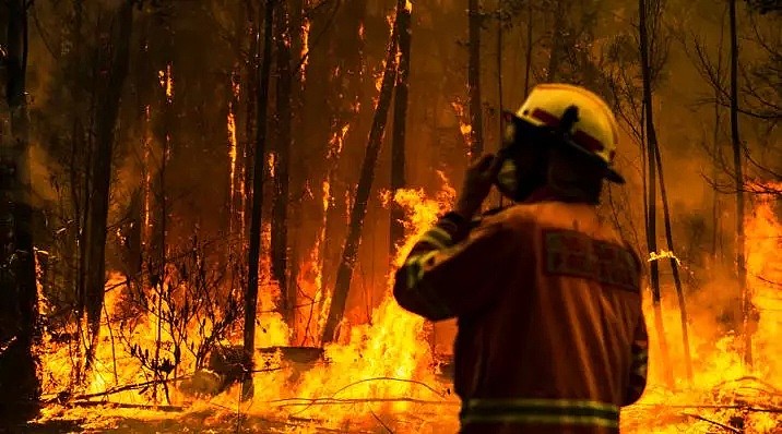 关于澳大利亚的山火、雾霾，以及偏见 - 8