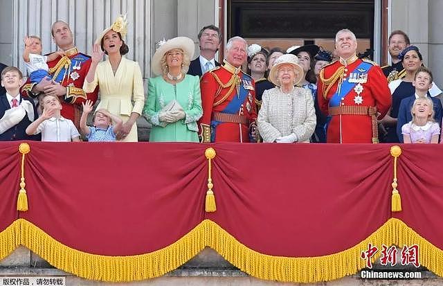 白金汉宫发表声明：哈里夫妇不在使用王室头衔，退出公职！（组图） - 5
