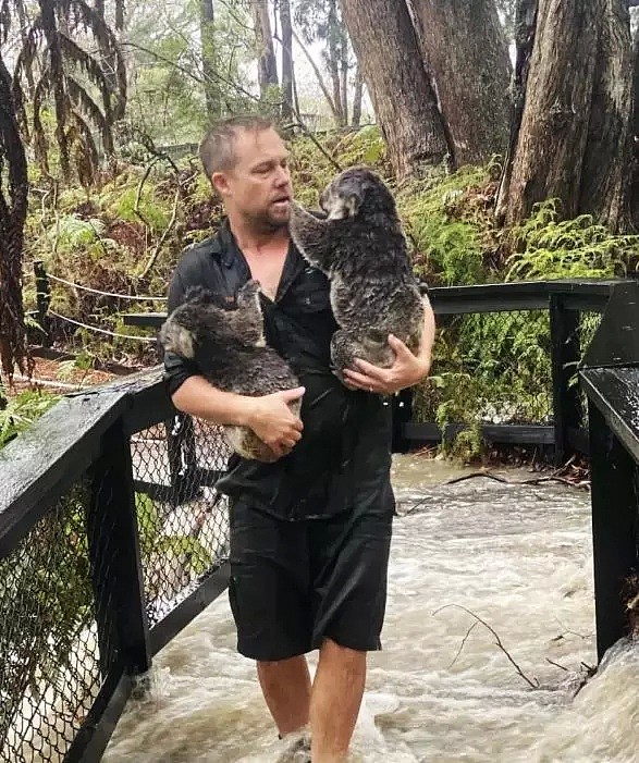 澳洲大雨洪涝上CCTV！水淹道路房屋，开车如开船 - 82