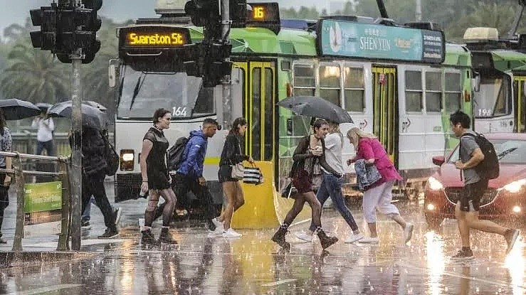 下雨了！未来多地或暴发山洪！墨尔本68公里外突发山火，大量考拉生死未卜！新州考拉已被大雨淋“傻”… - 27