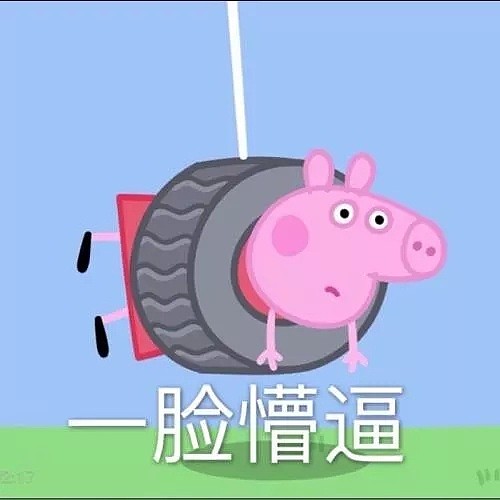 Low到爆！重庆景区开业让肥猪蹦极，周围传来猪叫般的笑声（视频/组图） - 6