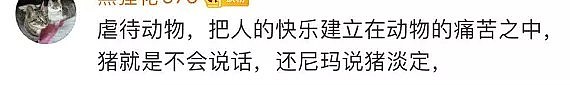 Low到爆！重庆景区开业让肥猪蹦极，周围传来猪叫般的笑声（视频/组图） - 15