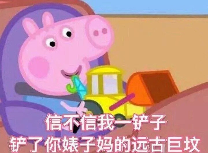 Low到爆！重庆景区开业让肥猪蹦极，周围传来猪叫般的笑声（视频/组图） - 20