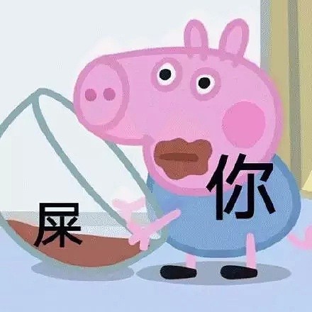 Low到爆！重庆景区开业让肥猪蹦极，周围传来猪叫般的笑声（视频/组图） - 26