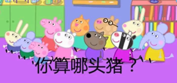 Low到爆！重庆景区开业让肥猪蹦极，周围传来猪叫般的笑声（视频/组图） - 24