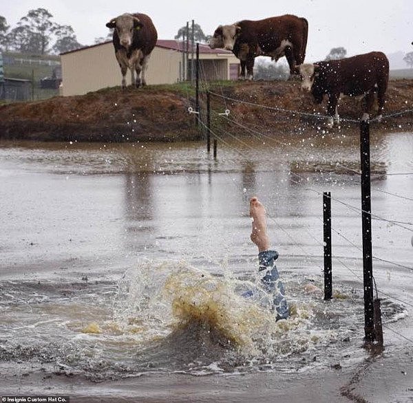 “跳水沉塘？”No！这在澳洲“不稀奇”！新州农民庆祝降水，开心的像孩子（视频/组图） - 4