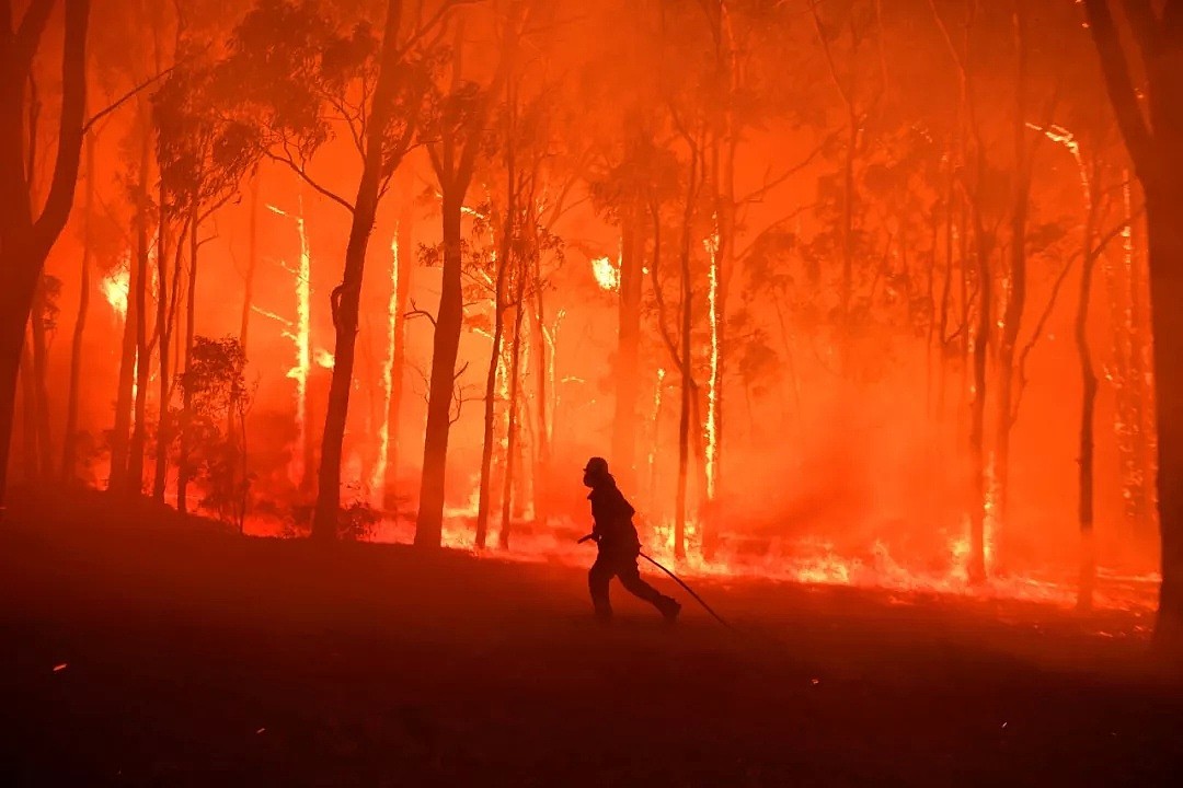 你以为澳洲大火和你没有关系，真相却令人震撼… - 1