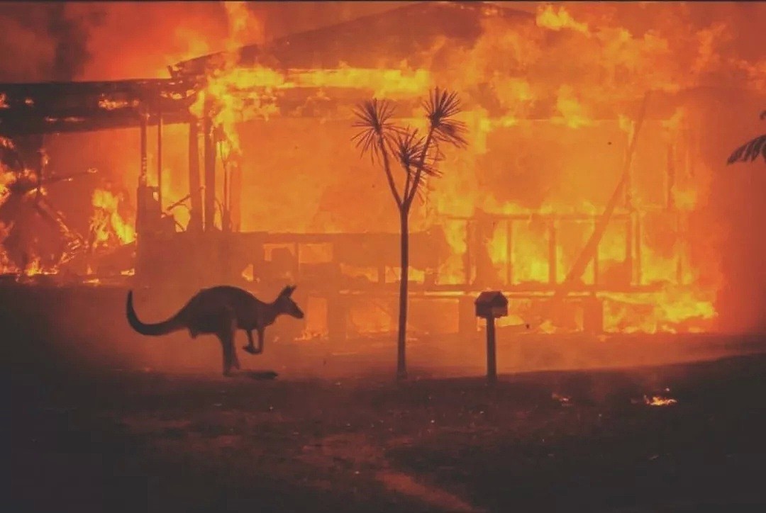 你以为澳洲大火和你没有关系，真相却令人震撼… - 5