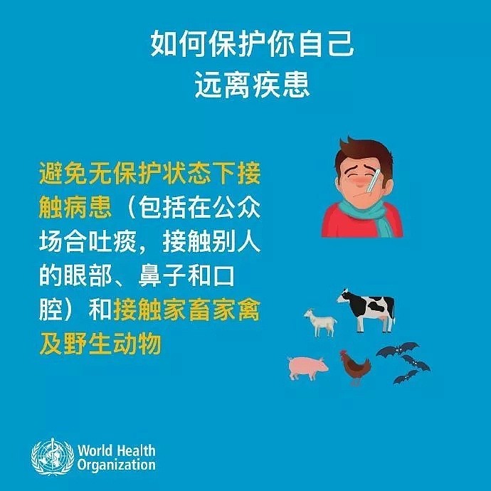 新型冠状病毒病例增至204人！新西兰专家对前往中国旅客发出警告，卫生部也发出提醒…做好防范！（组图） - 10