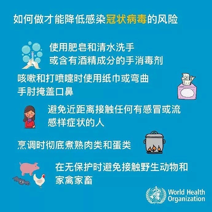 新型冠状病毒病例增至204人！新西兰专家对前往中国旅客发出警告，卫生部也发出提醒…做好防范！（组图） - 11