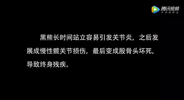 苏有朋手机私照曝光，我看到了人性最残忍的一幕！ - 19