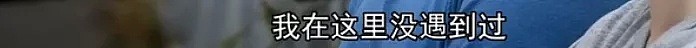 公私教育差距大揭秘！为什么宁愿多花百万也要上澳洲私校？ - 114