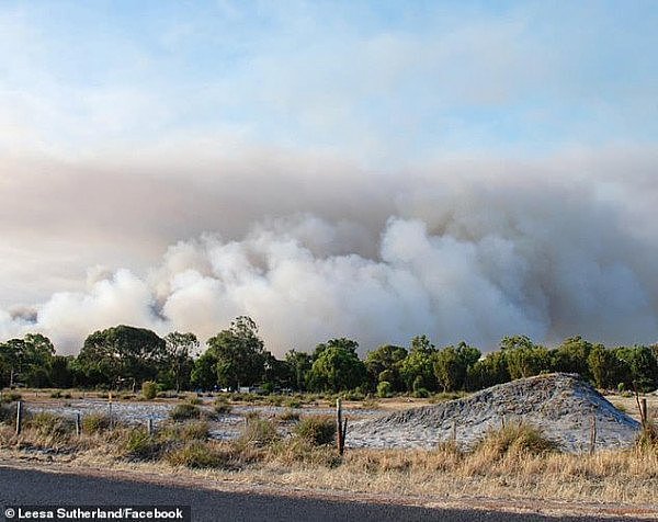 故意燃火引发山火，火势失控，澳小镇受威胁，当局警告附近居民紧急撤离（组图） - 3