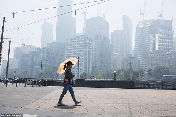 山火、冰雹、洪水接踵而来！澳洲这个夏天不好过！专家预测：“灾难”还没结束...（视频/组图） - 6