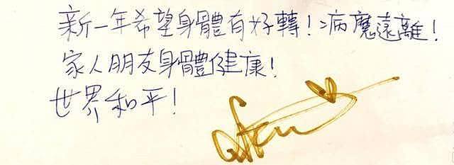30岁抗癌歌手李明蔚放弃治疗拍摄最后艺术照，无言感谢马浚伟圆梦（组图） - 10