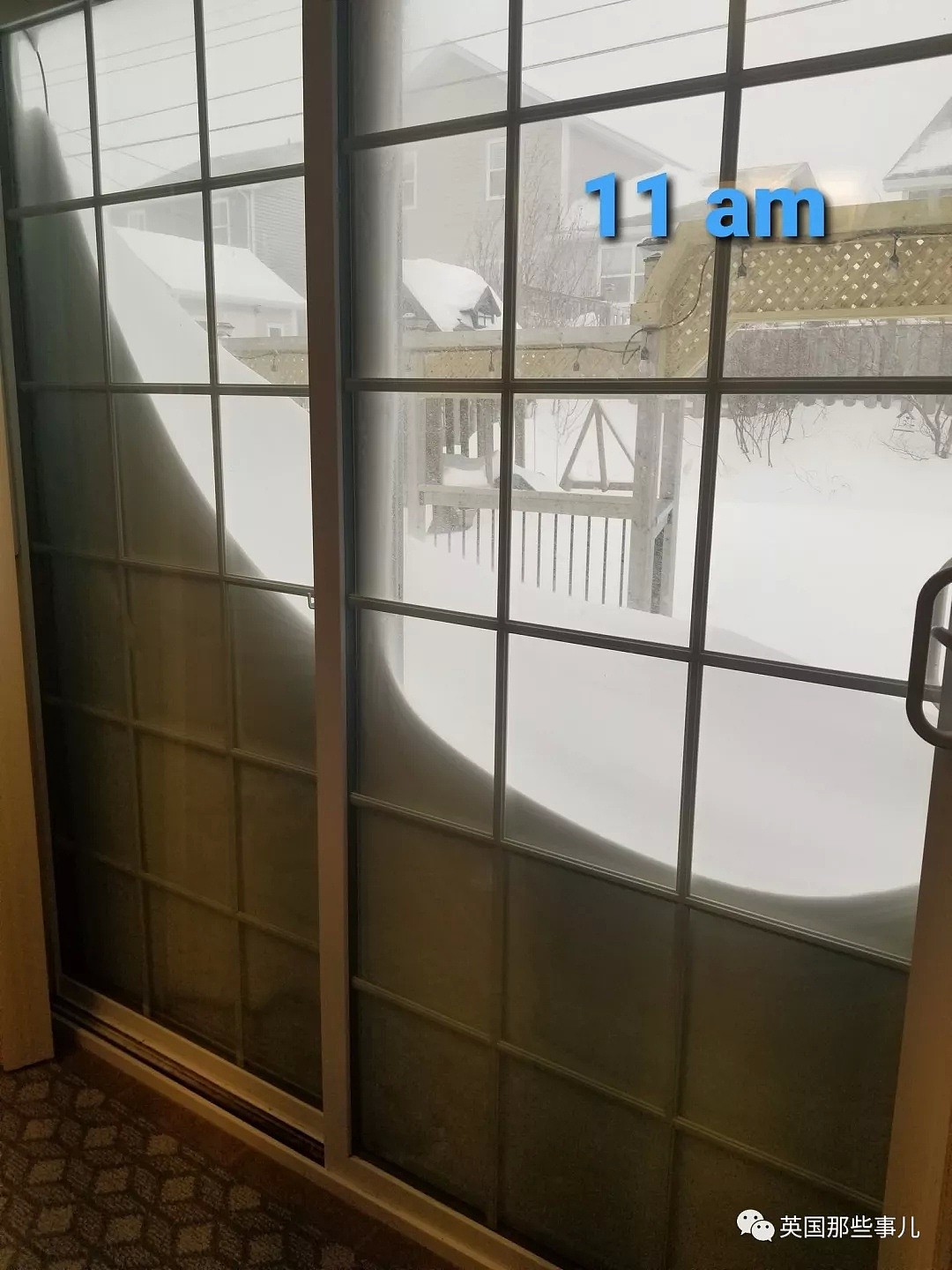 一夜之间全城大雪整个埋掉..打开家门连天都看不到！加拿大这场雪厉害了...（组图） - 30