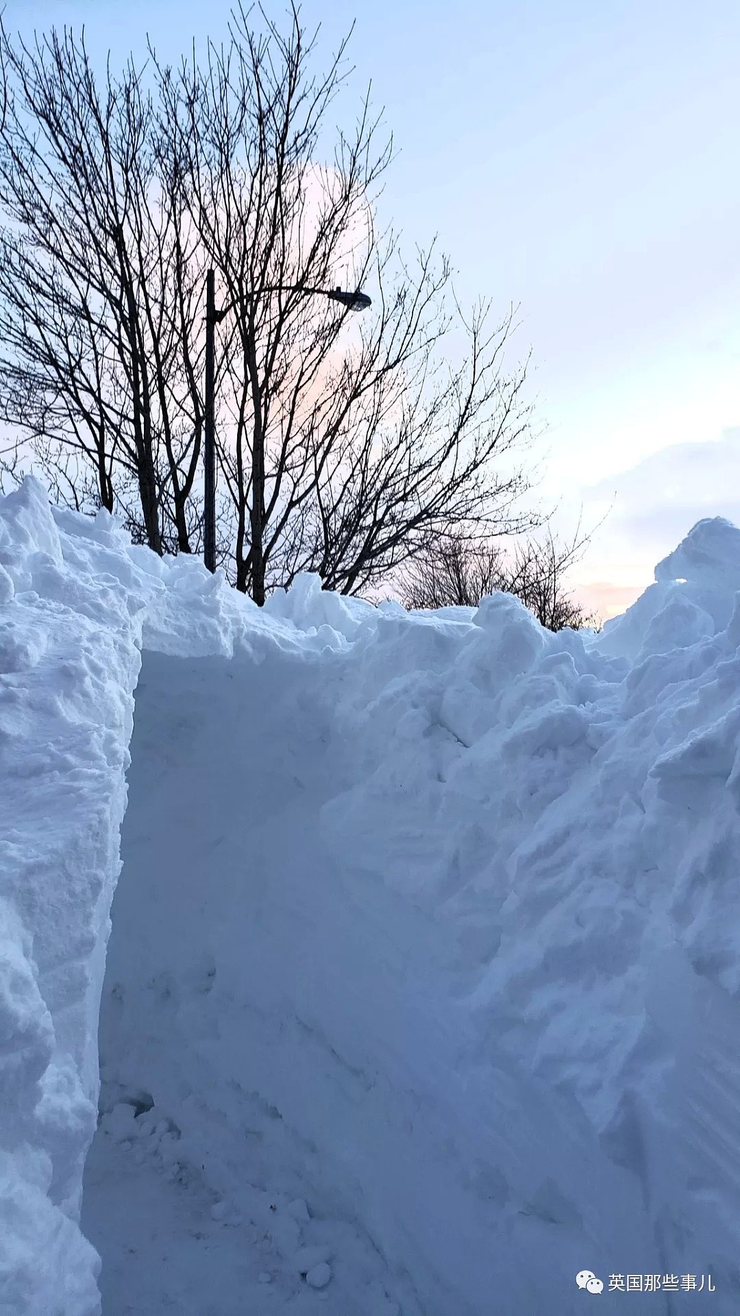 一夜之间全城大雪整个埋掉..打开家门连天都看不到！加拿大这场雪厉害了...（组图） - 38