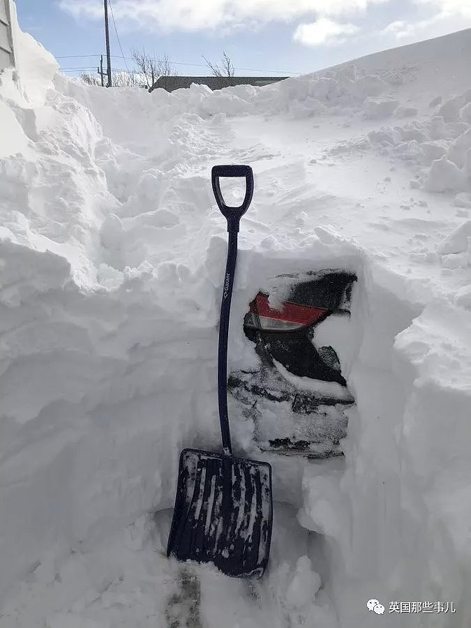 一夜之间全城大雪整个埋掉..打开家门连天都看不到！加拿大这场雪厉害了...（组图） - 39