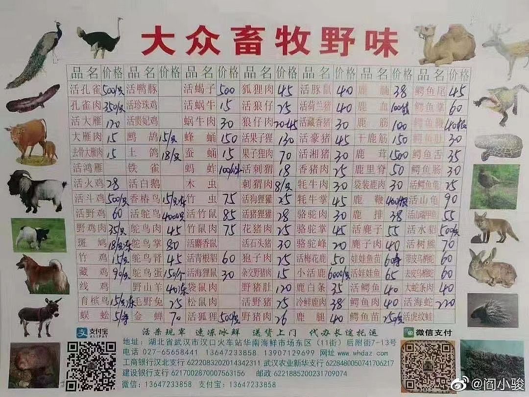 网传武汉华南市场“大众畜牧野味”所涉摊位已闭店（组图） - 1