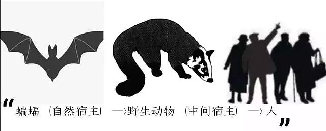 武汉“毒王”或已现身！送你一份华南海鲜市场菜单：现宰竹鼠、孔雀、果子狸…（组图） - 14