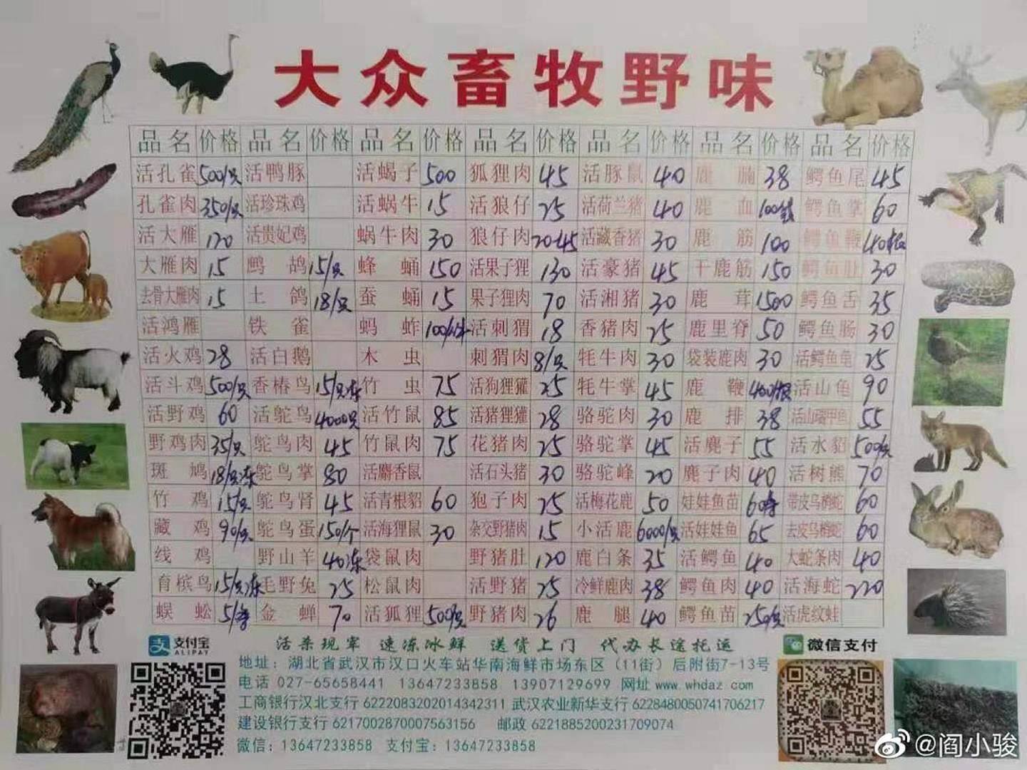 商户「大众畜牧野味」位于武汉华南海鲜市场东区，其价目表显示曾出售大量疑似野生动物。 （微博）