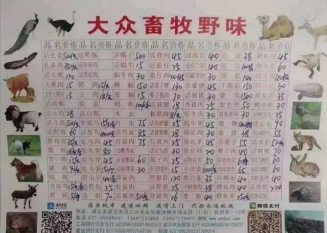 武汉“毒王”或已现身！送你一份华南海鲜市场菜单：现宰竹鼠、孔雀、果子狸…（组图） - 6