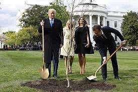 特朗普达沃斯演讲：种一万亿棵树，我们表示愿意加入（组图） - 3