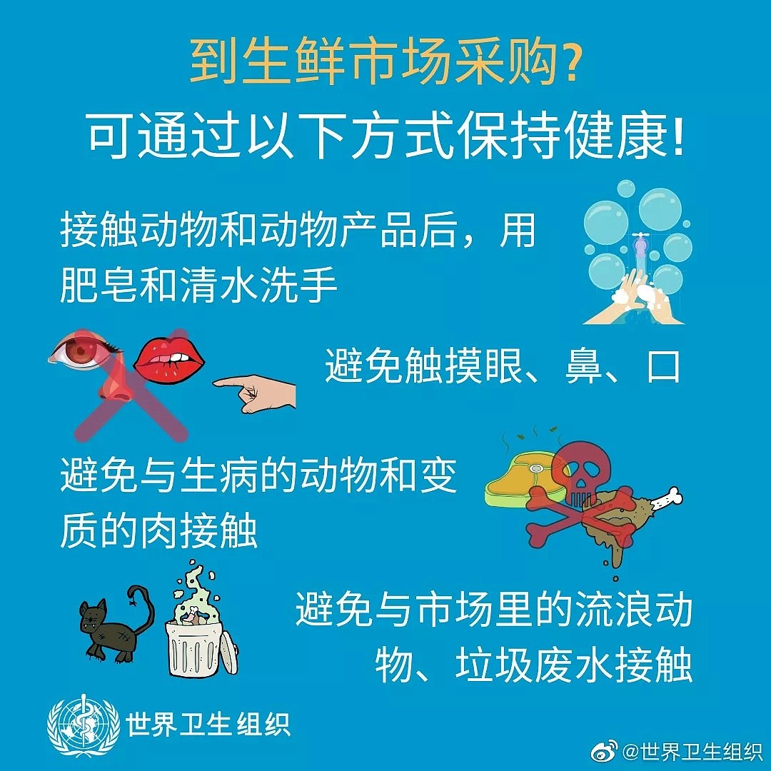 武汉新型肺炎确诊543例，死亡17例！网曝悉尼飞基督城航班出现疑似感染者（组图） - 27