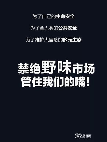 新冠肺炎最让人愤怒的事情已确认：作死的人，求求你们管住自己嘴，不要再作孽了！（组图） - 44