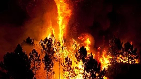 澳洲大火，烧出了116个国家的二氧化碳排放量！这是一场改变世界的大火...（组图） - 22