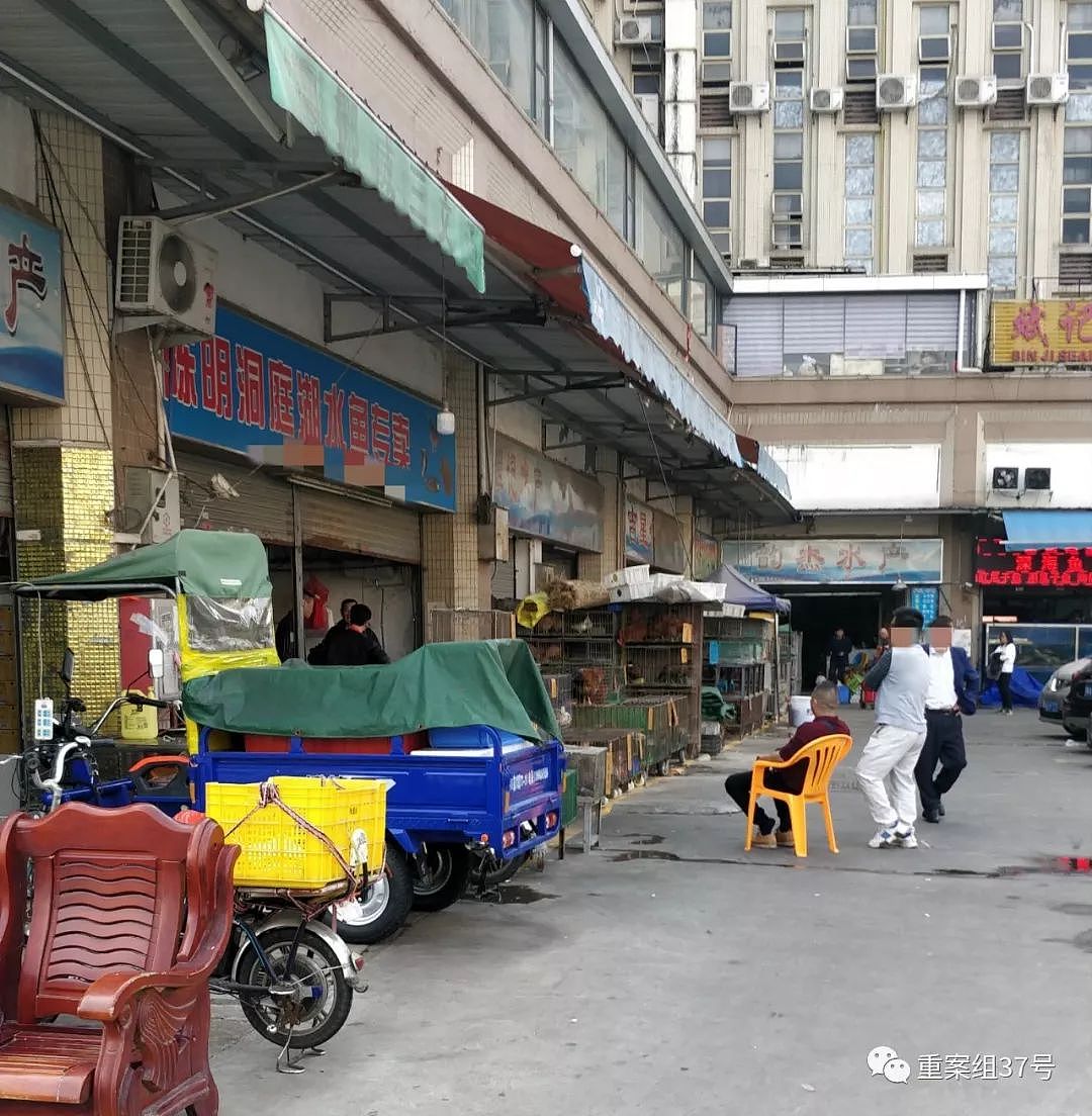 ▲多家私售“野味”的店铺表面上为水产店铺。新京报记者 刘浩南 摄