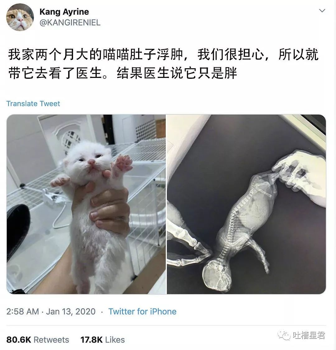 【爆笑】异地女友发了张酒店照片，结果...“我发现自己被绿？”你们感受下现场（组图） - 23