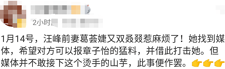 小苹果不去美国和汪峰过年？取消对章子怡产子微博点赞，疑似和继母关系闹掰了...（组图） - 56