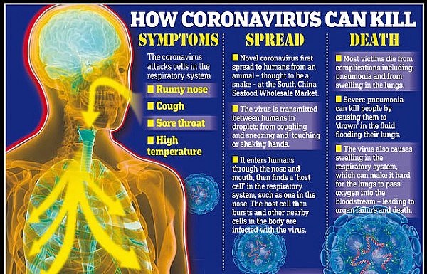 23776006-7922463-Experts_say_the_difficulty_of_containing_the_coronavirus_is_that-a-14_1579818560121.jpg,0