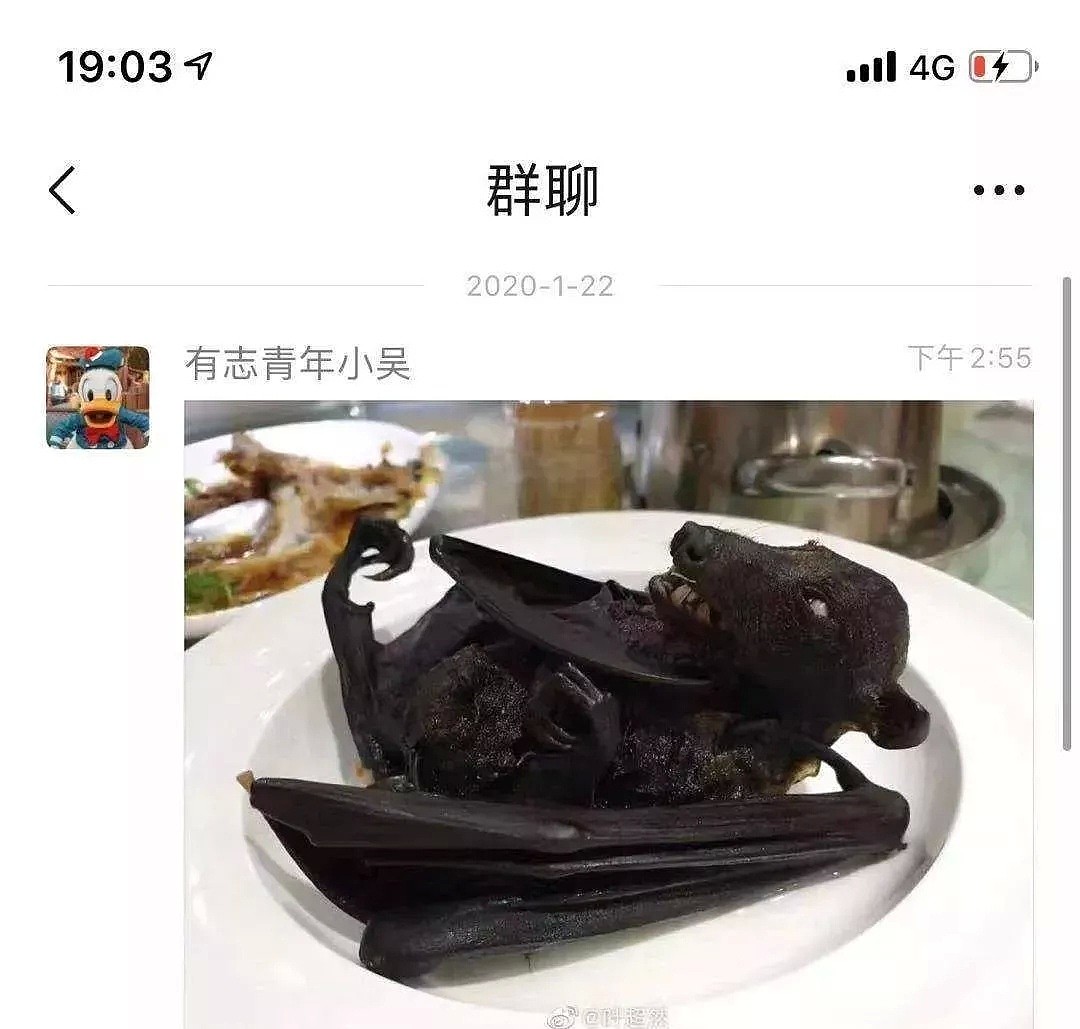 土澳本地100万+爆文火了，标题：“中国人疯了连考拉都吃！” - 9