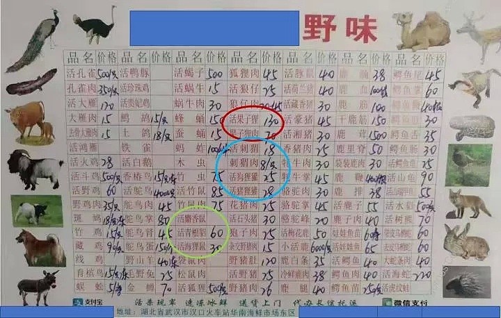 走私活体螃蟹，美海关截获3400磅中国大闸蟹，别再吃这些野味了！（组图） - 13