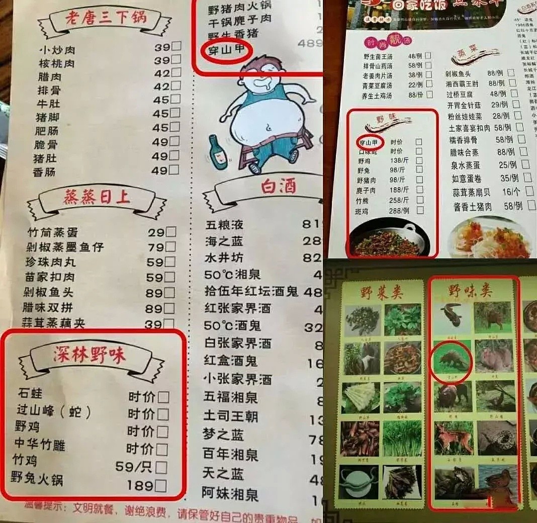 走私活体螃蟹，美海关截获3400磅中国大闸蟹，别再吃这些野味了！（组图） - 14