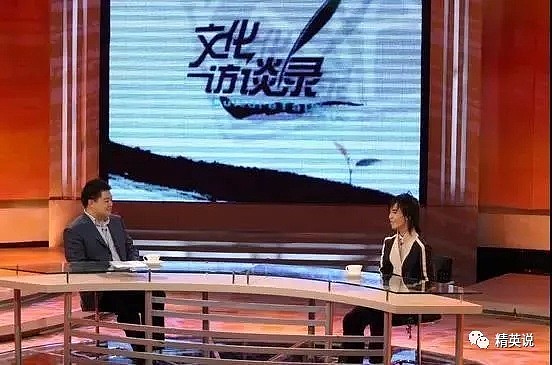 崔永元、柴静、马东…那些红极一时的央视主持人，如今都怎么样了？（组图） - 5