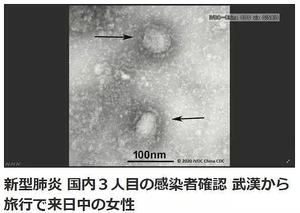 已经第三例！被这个从武汉逃到日本的中国女孩一句话给气死了！（组图） - 1