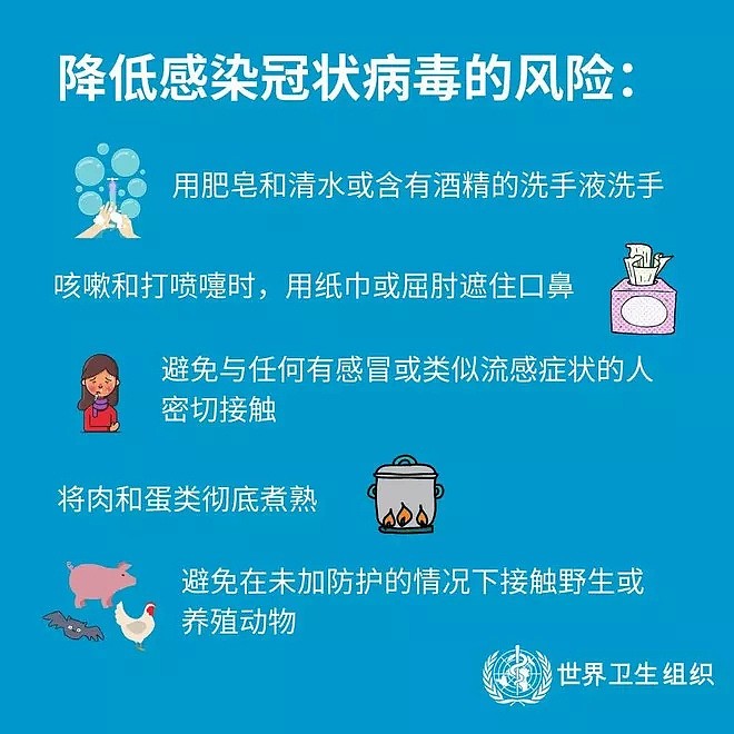 快自查！中国飞悉尼航班有人感染，当局寻同机乘客！局势已经升级（组图） - 51