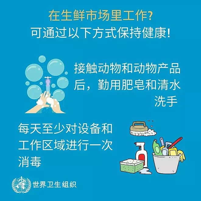 快自查！中国飞悉尼航班有人感染，当局寻同机乘客！局势已经升级（组图） - 61