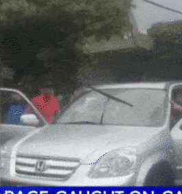 悉尼司机遭路怒群殴，中国男子被捕！警方急寻两名亚裔目击者（视频/组图） - 4