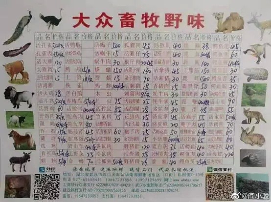 最新！武汉华南海鲜市场依旧检测出大量冠状病毒，现场触目惊心！（组图） - 12