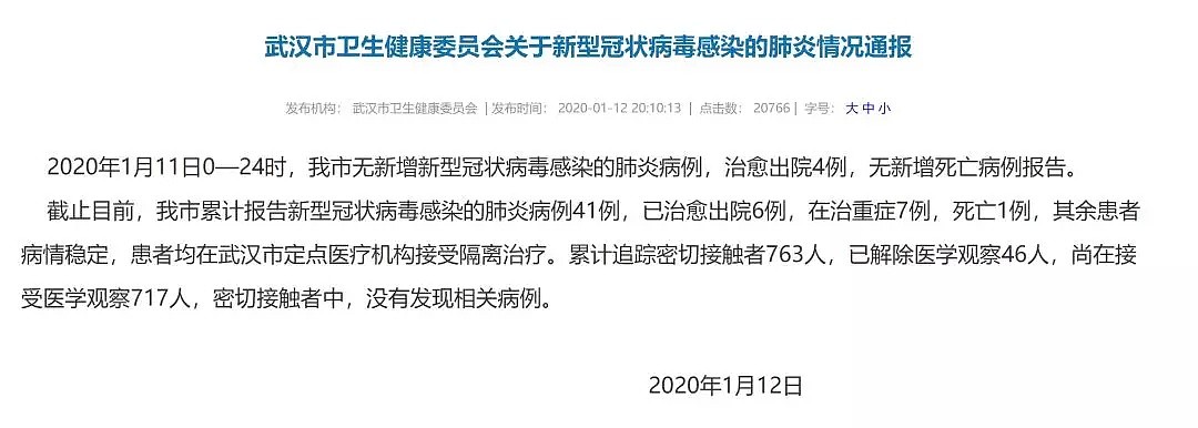 刚说完500万人已离开武汉，无数人在为武汉市长感到捉急...（组图） - 17